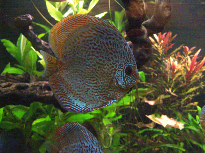 PICT00013.JPG