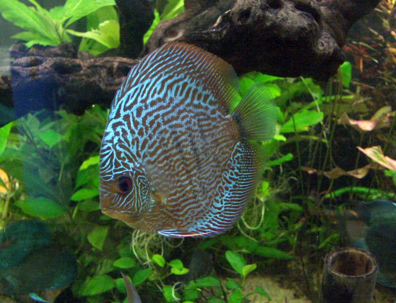PICT0073.JPG