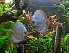 PICT0025.JPG